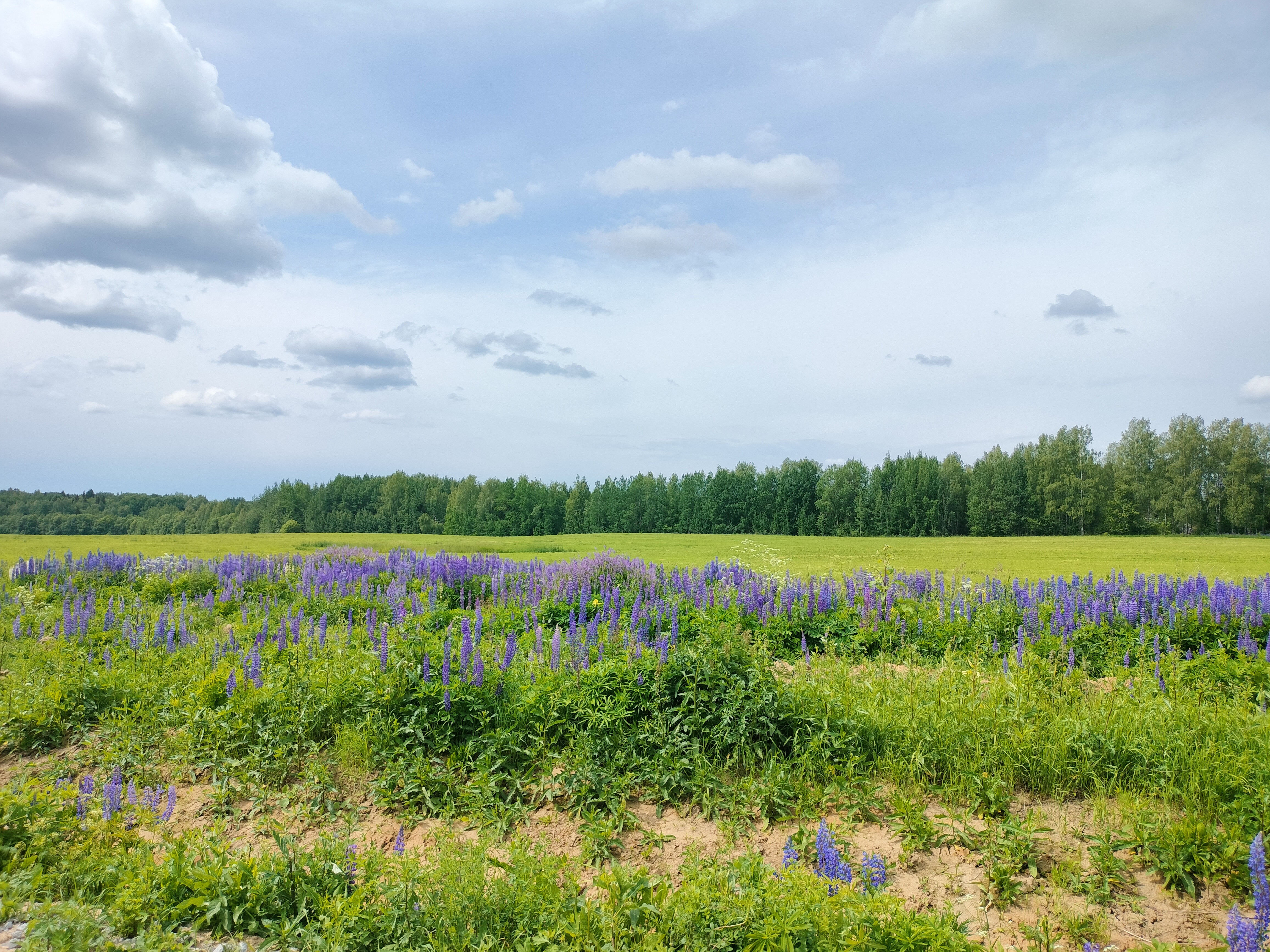 Вологодский Росреестр отвечает на вопросы, связанные с отказом от прав на землю.